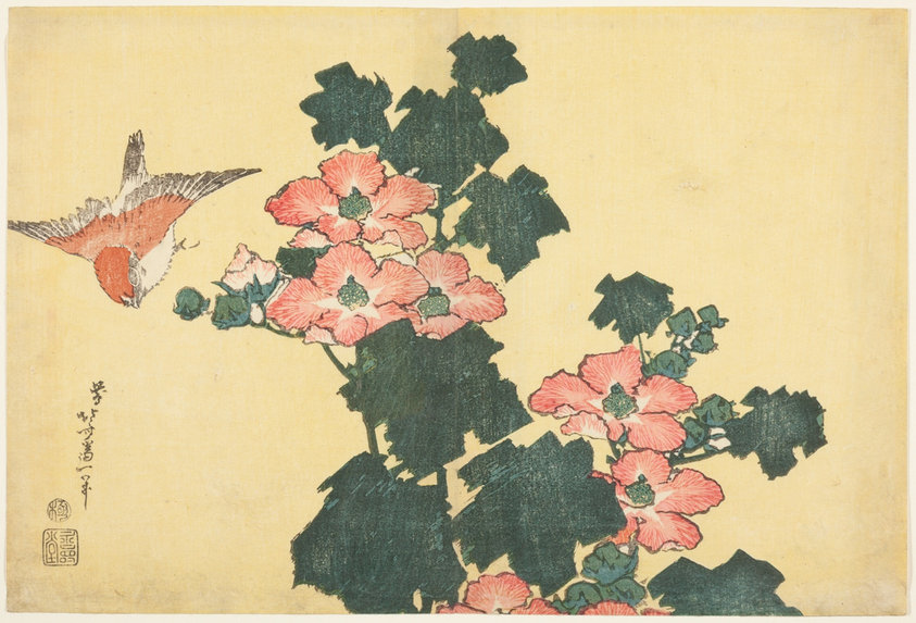 Cotton Roses and Sparrow, from an untitled series of Large Flowers