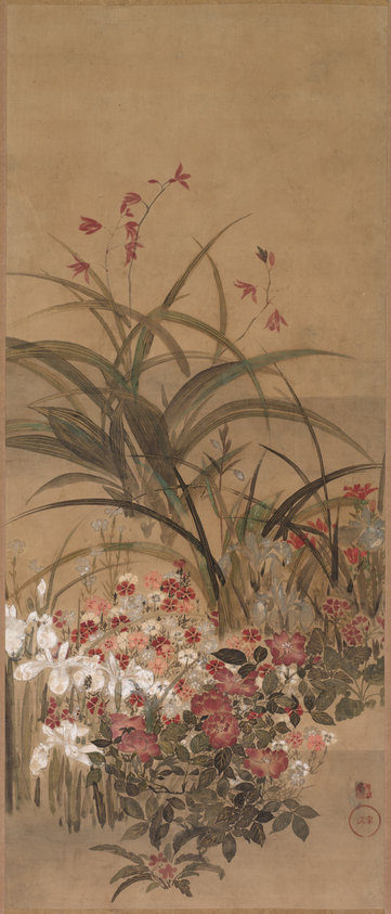 Summer Flowers