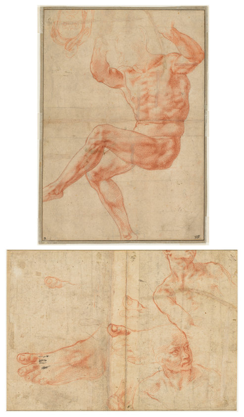 Study for the Nude Youth over the Prophet Daniel (recto); Figure Studies for the Sistine Ceiling (verso)