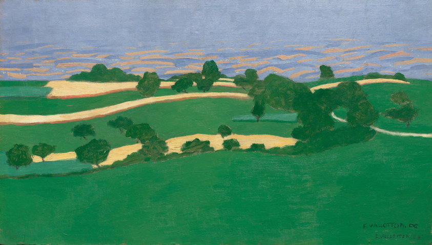 Corn Fields