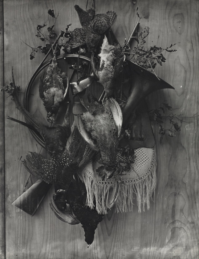Trophy of the Hunt