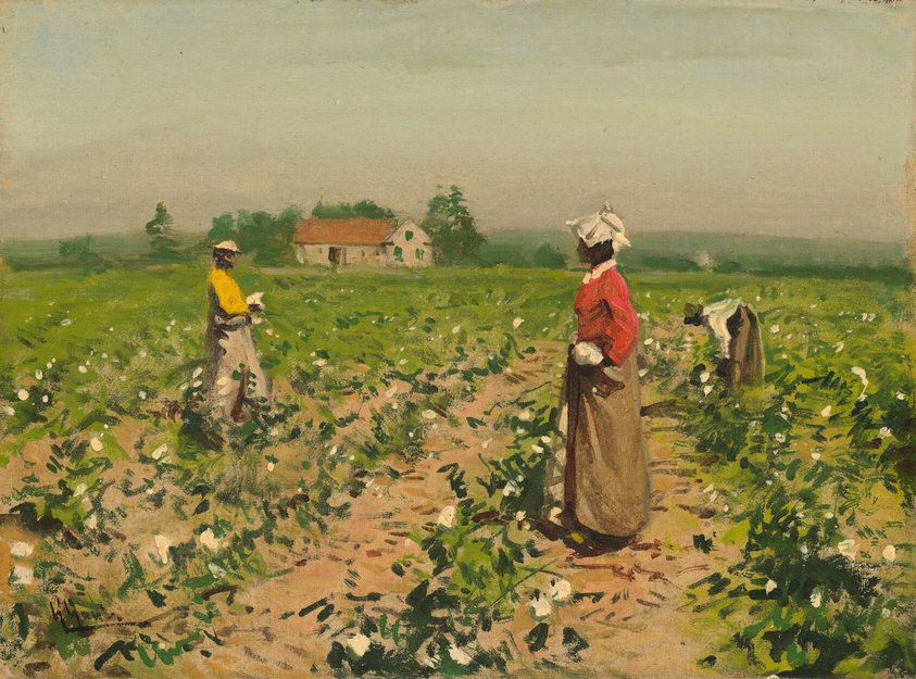 This painting depicts a green field of cotton plants with white blossoms. Three individuals are seen harvesting the cotton. They appear to be wearing skirts and bonnets and have dark skin, although their faces aren’t detailed. The background includes buildings on the left and green trees against a pale blue sky with hints of grey. The painting utilizes loose, visible brushstrokes. The color scheme is warm and natural, featuring shades of green, brown, and muted tones.