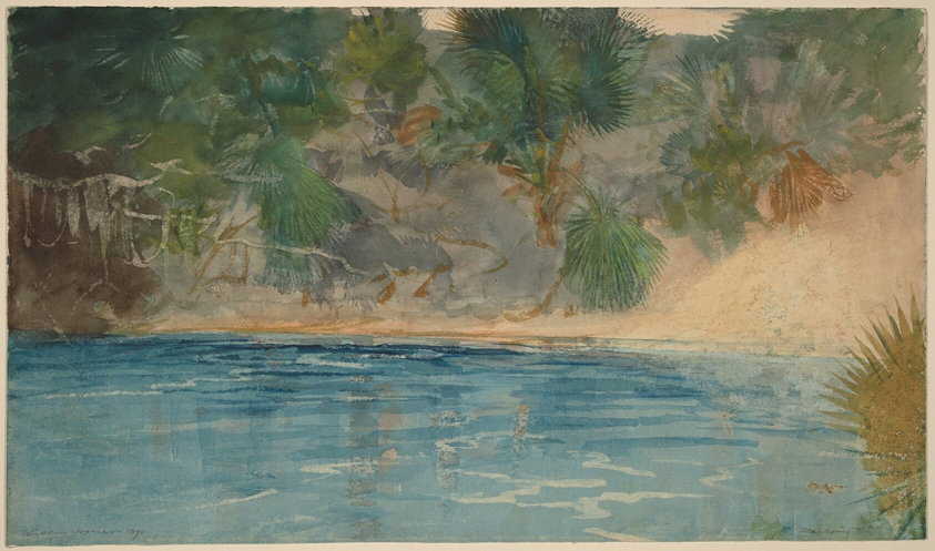 This painting shows a view of a calm body of water with greenery surrounding it. Across the water appears to be a hill or shore that slopes upward to the top of the painting, painted in gray and cream tones and covered in palm-like plants in shades of green, brown, and rusty red. A similar plant is visible near the bottom right corner in a dark shade of yellow. The water in the center is painted in shades of blue with some ripples across the top. The brushstrokes are fluid.