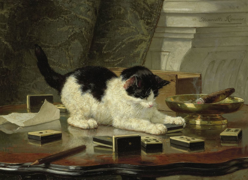 Cat at Play