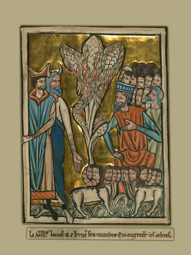 The Eighth Plague: Locusts (Exodus 10:12-15)