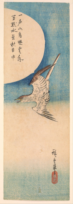 Cuckoo Flying under a Full Moon
