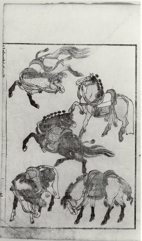 Japan; Illustrated book; Illustrated Books