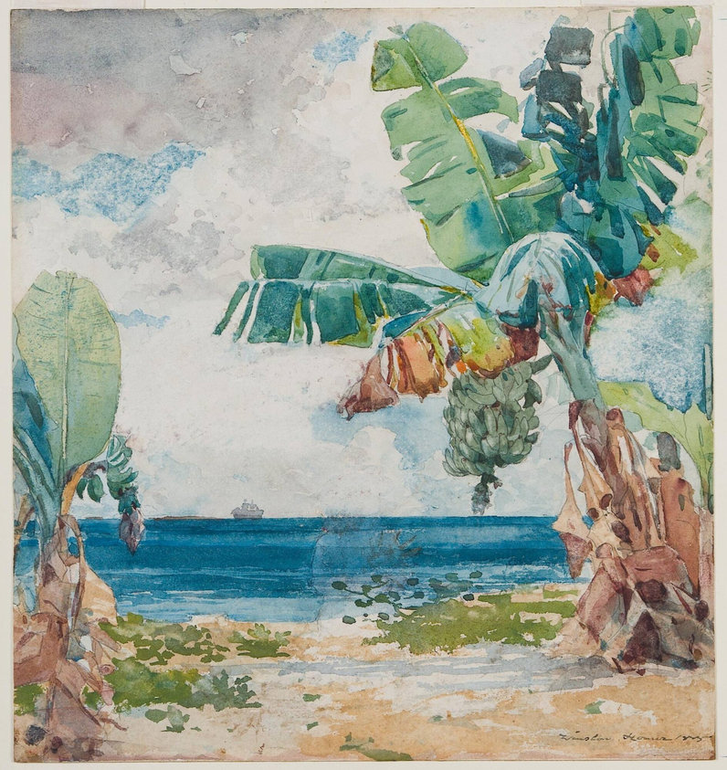 Banana Tree, Nassau